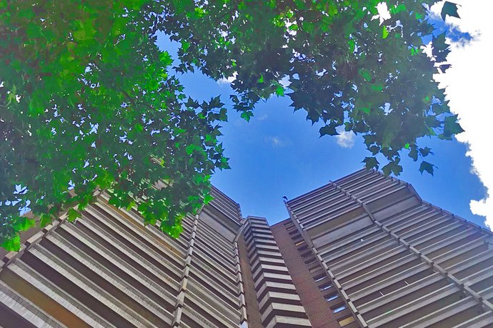 Studie: Grünflächen in Städten fördern psychisches Wohlbefinden Studie: Grünflächen in Städten fördern psychisches Wohlbefinden