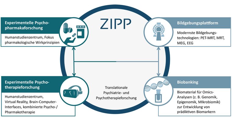 Durch Anklicken vergrößern Das ZIPP am ZI mit seinen vier Grundsäulen: Experimentelle Psychopharmakaforschung, Experimentelle Psychotherapieforschung, Bildgebungsplattform und Biobanking.
